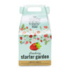 Strawberry Mini Garden Starter Grow Kit