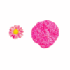 Hot Pink Glitter Dust available at MelonMart Trinidad & Tobago with nationwide delivery