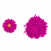 Mexican Rose Petal Dust - Image 2